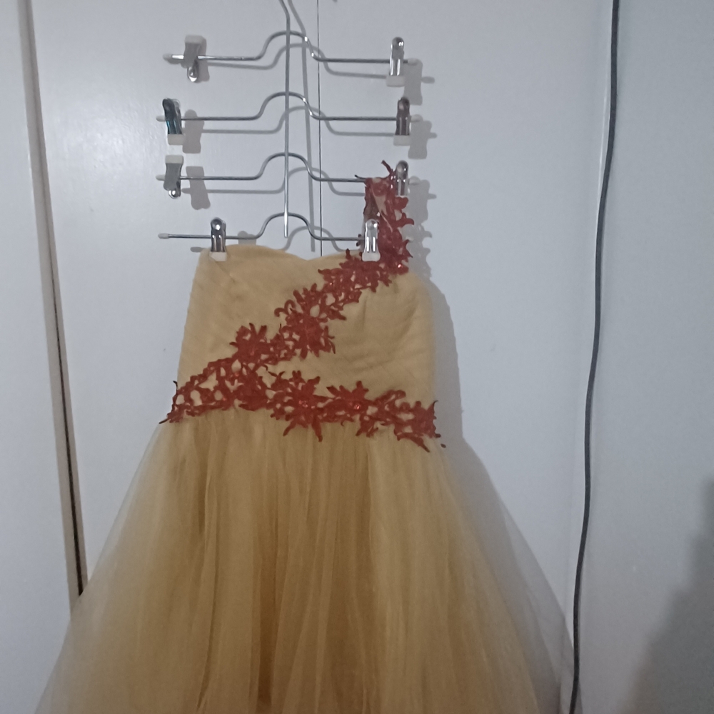 Elegant Gold and Red Dress